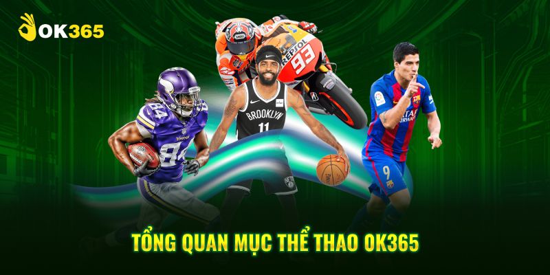Tổng quan mục thể thao 0k365